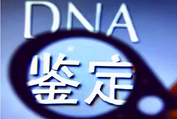 怀孕几个月怎么确定孩子父亲是谁[徐州]，孕期亲子鉴定结果准确吗