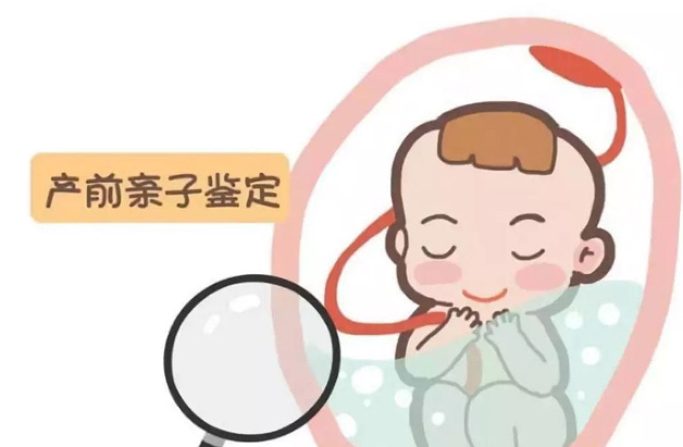 徐州胎儿如何做DNA亲子鉴定,徐州无创孕期亲子鉴定价格