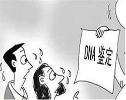 徐州迁户亲子鉴定大概收费，徐州户籍亲子鉴定出结果时间